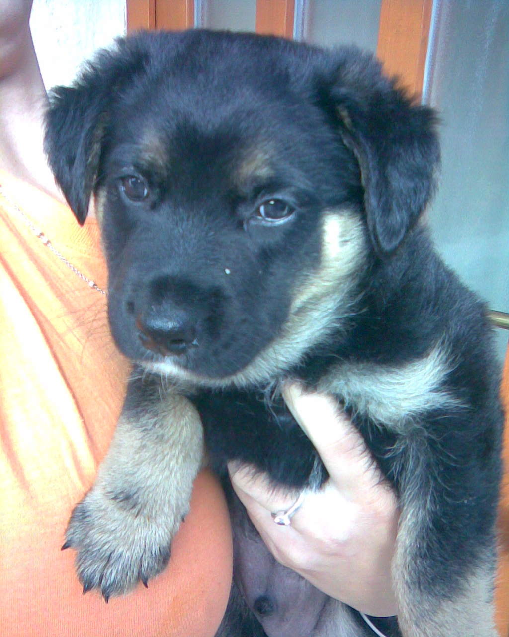 Maxi