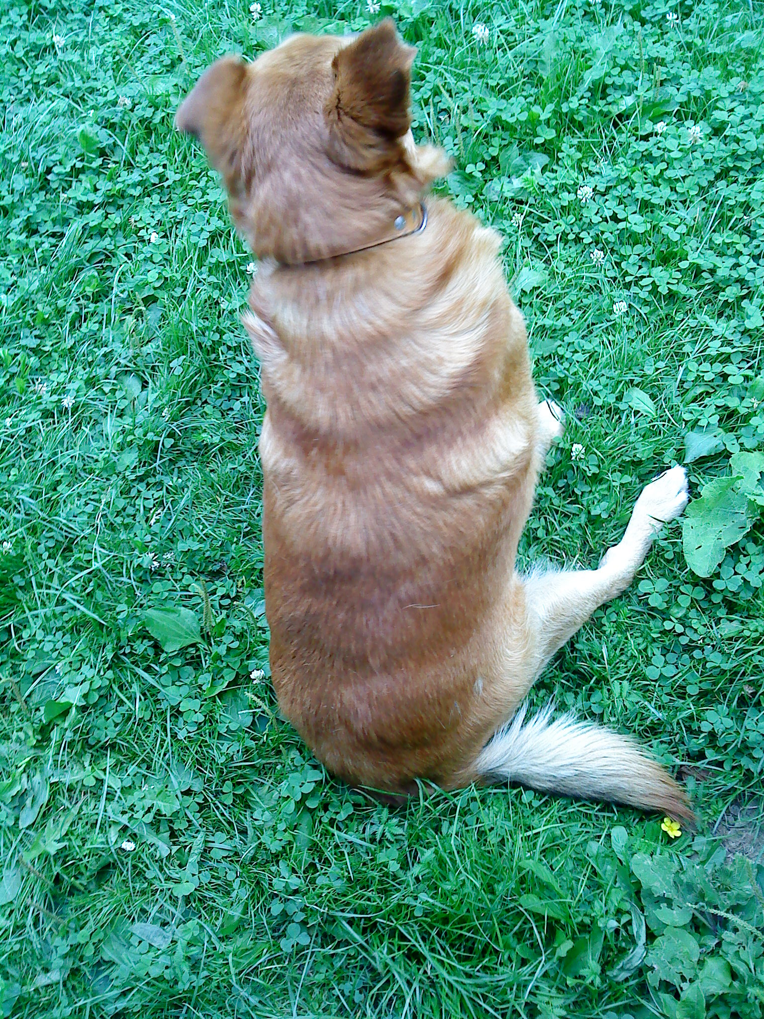 DSC00158.JPG