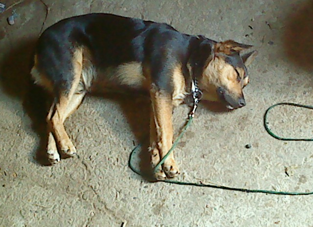 DSC00100.JPG