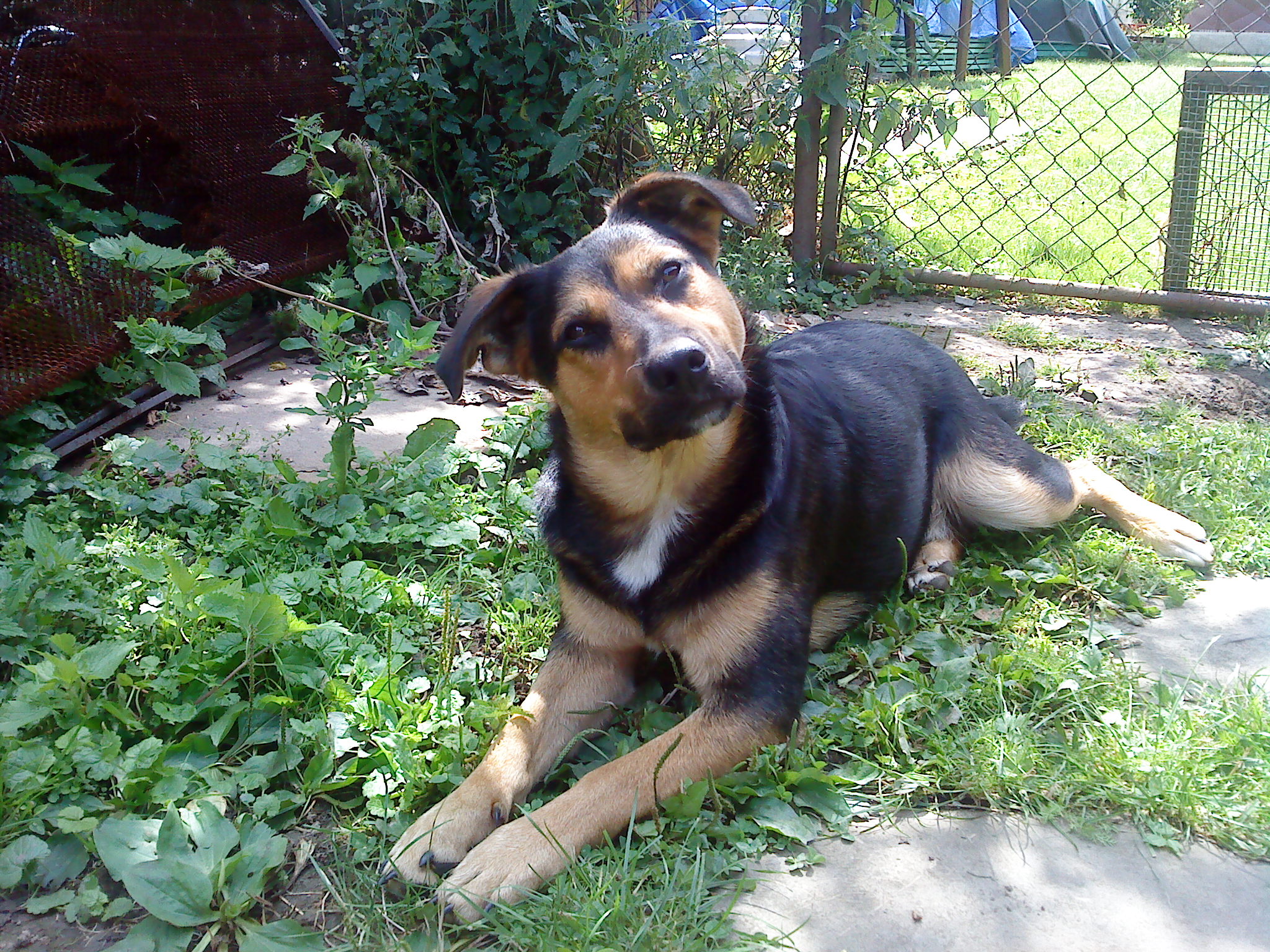DSC00133.JPG