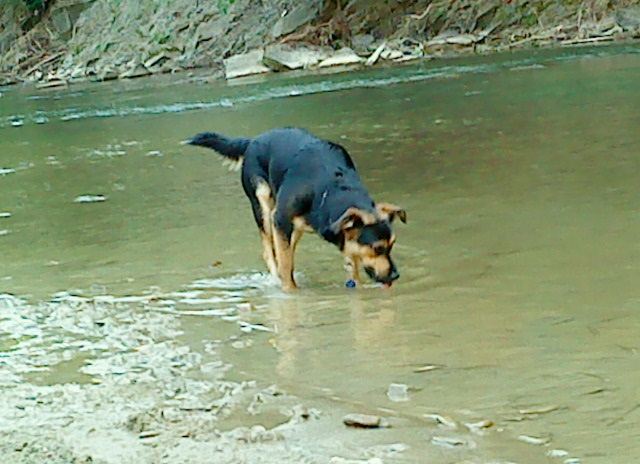 DSC00376.JPG