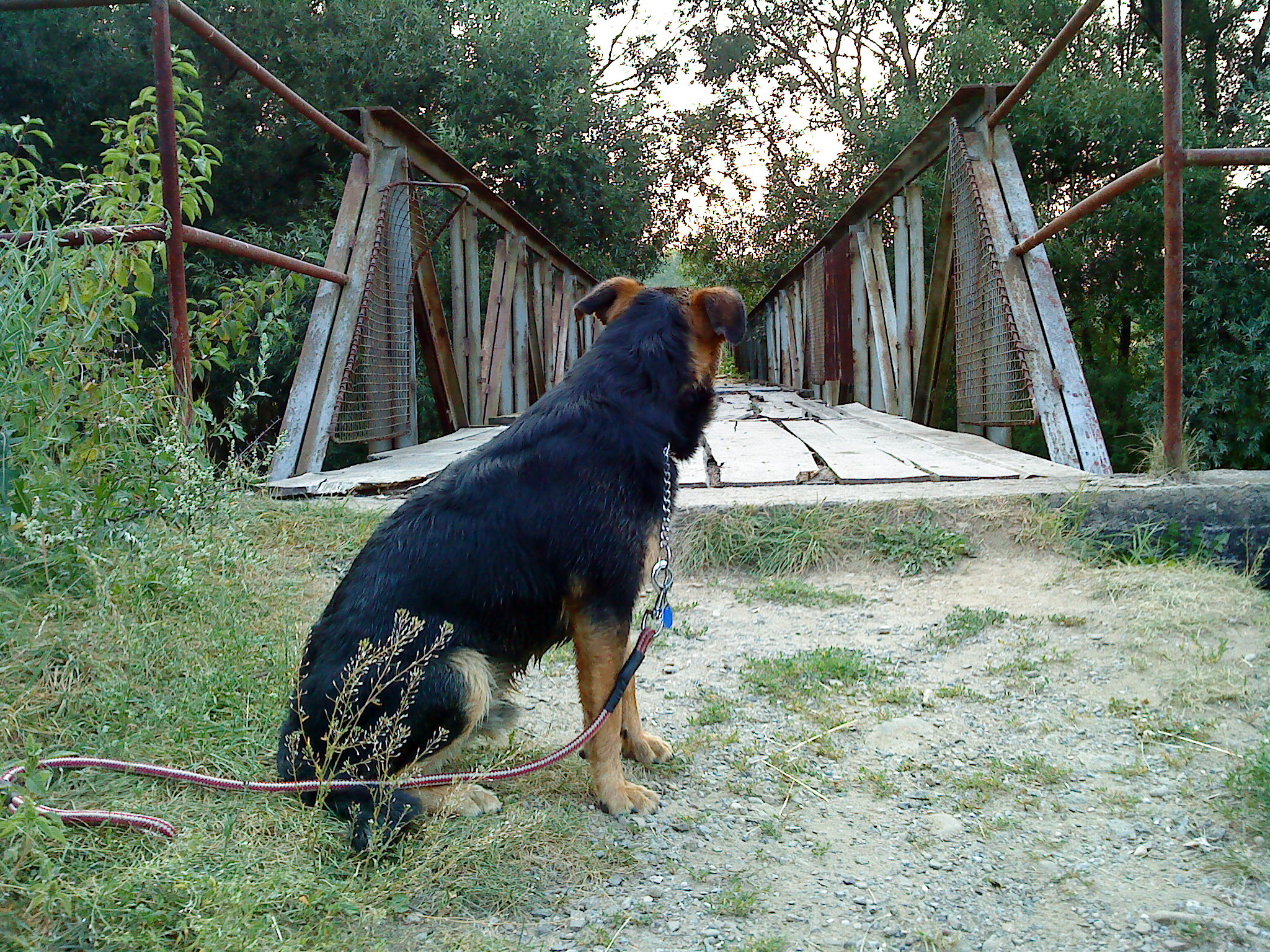 DSC00416.JPG