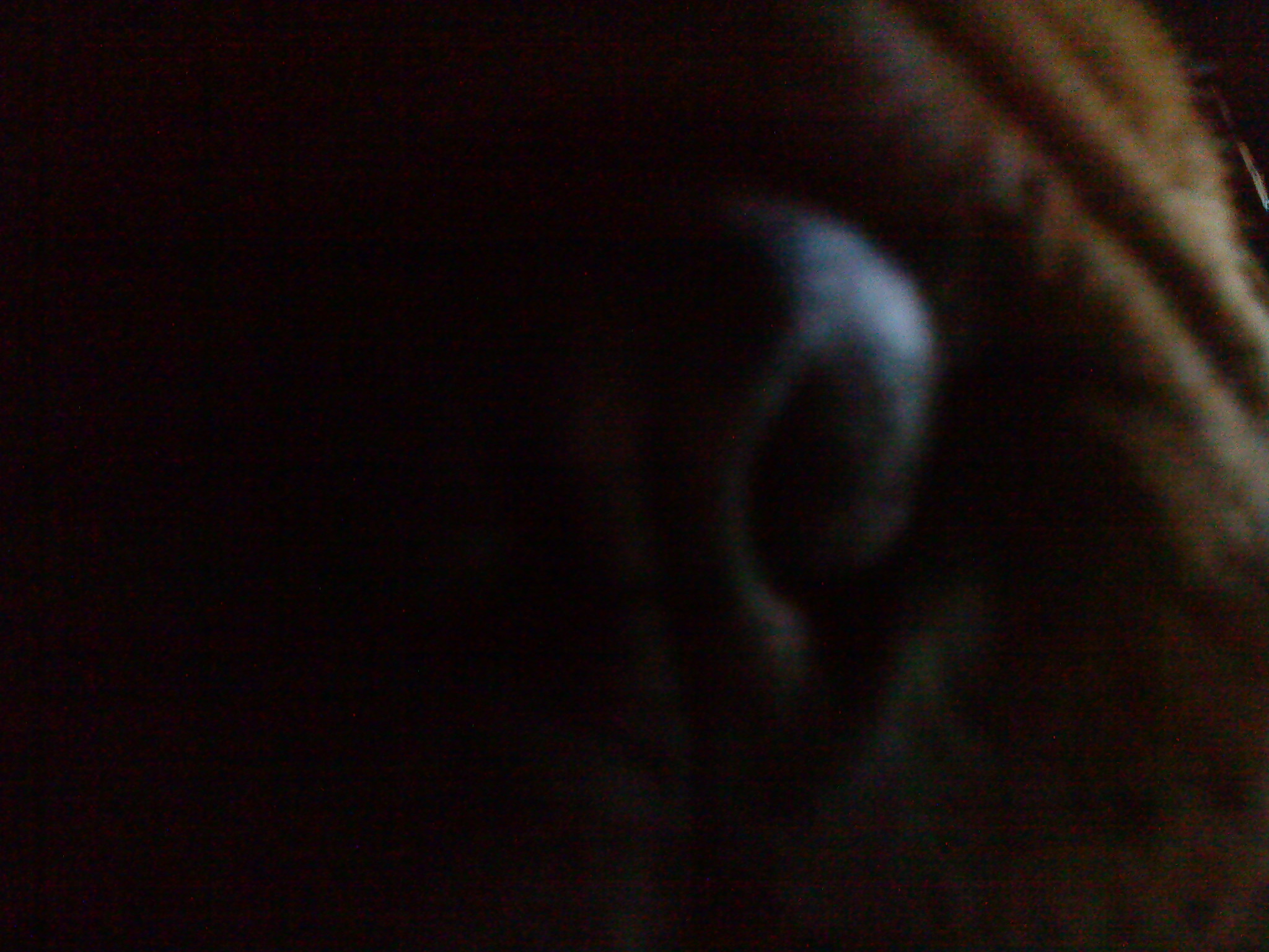 DSC00500.JPG