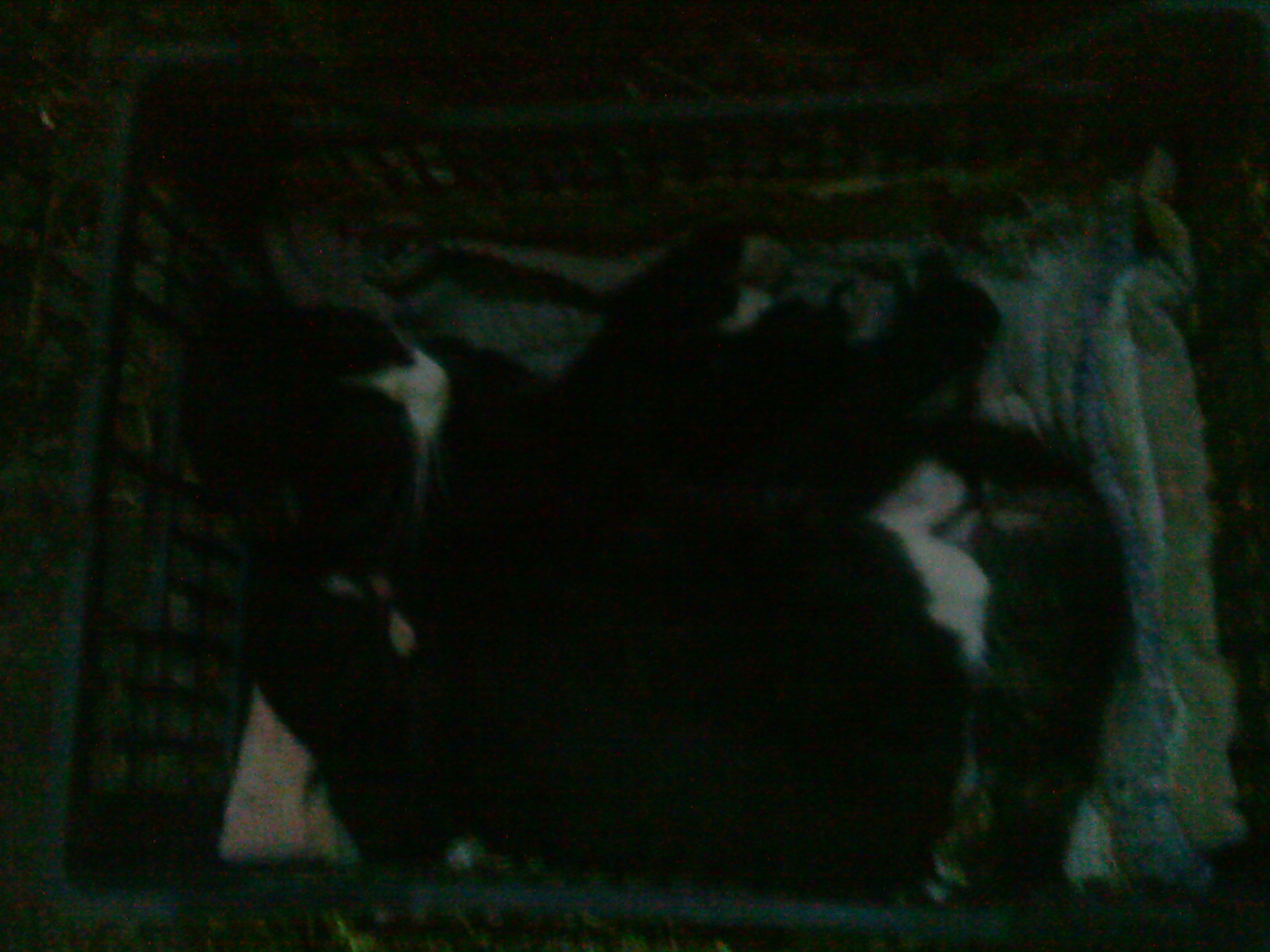 DSC00594.JPG