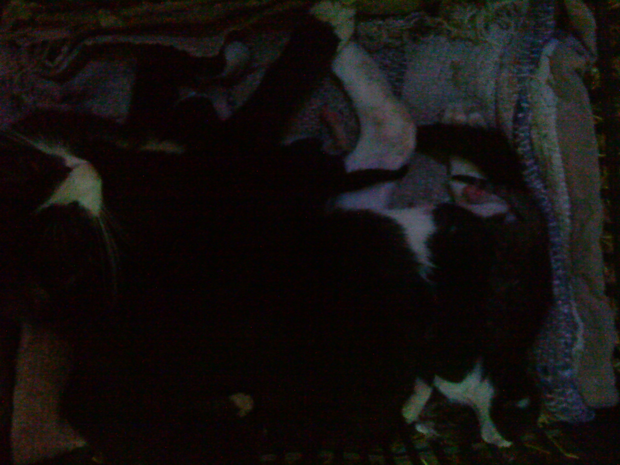 DSC00602.JPG