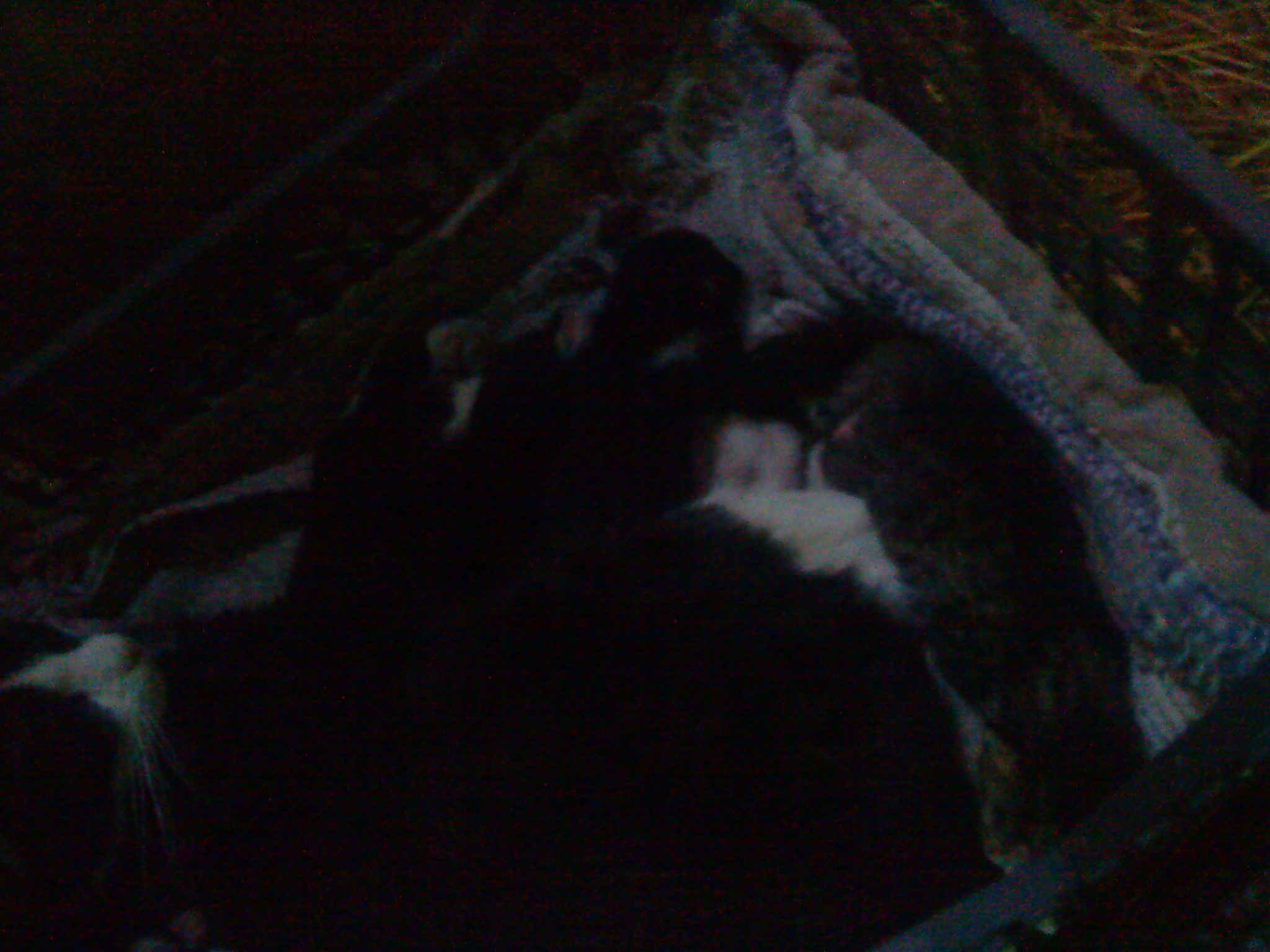 DSC00593.JPG