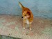 DSC00154.JPG