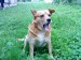 DSC00156.JPG