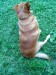 DSC00158.JPG