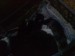 DSC00593.JPG